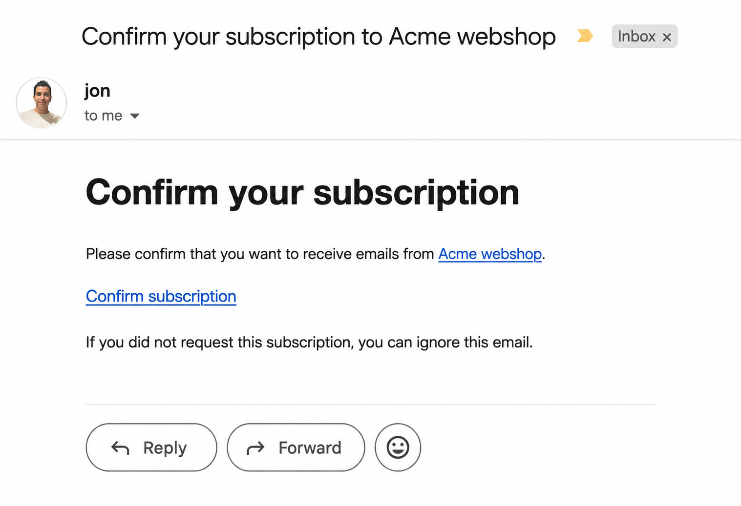 Subscriber confirmation email shown in an inbox