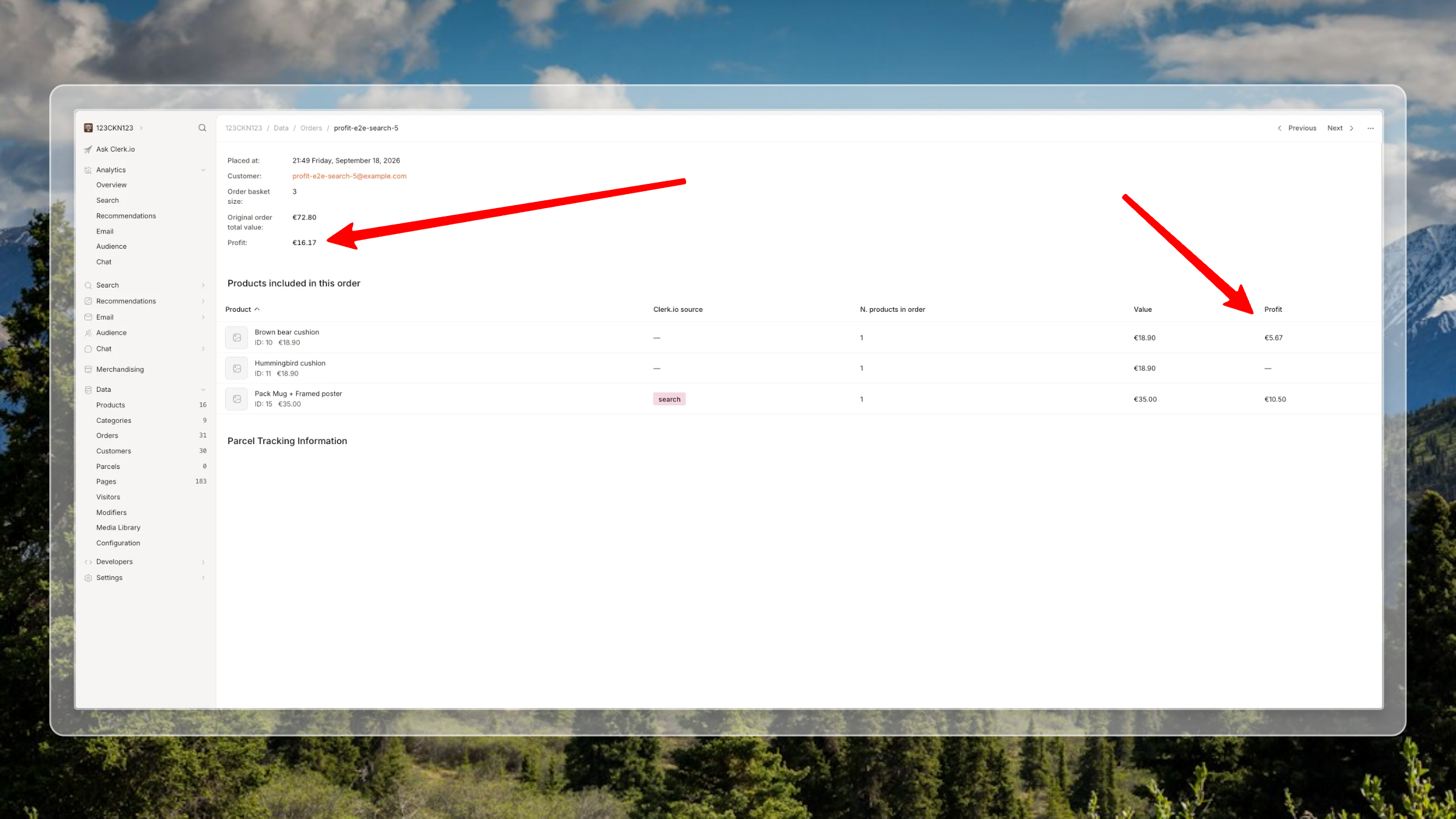 Profit totals and product-level profit in an individual Clerk.io order