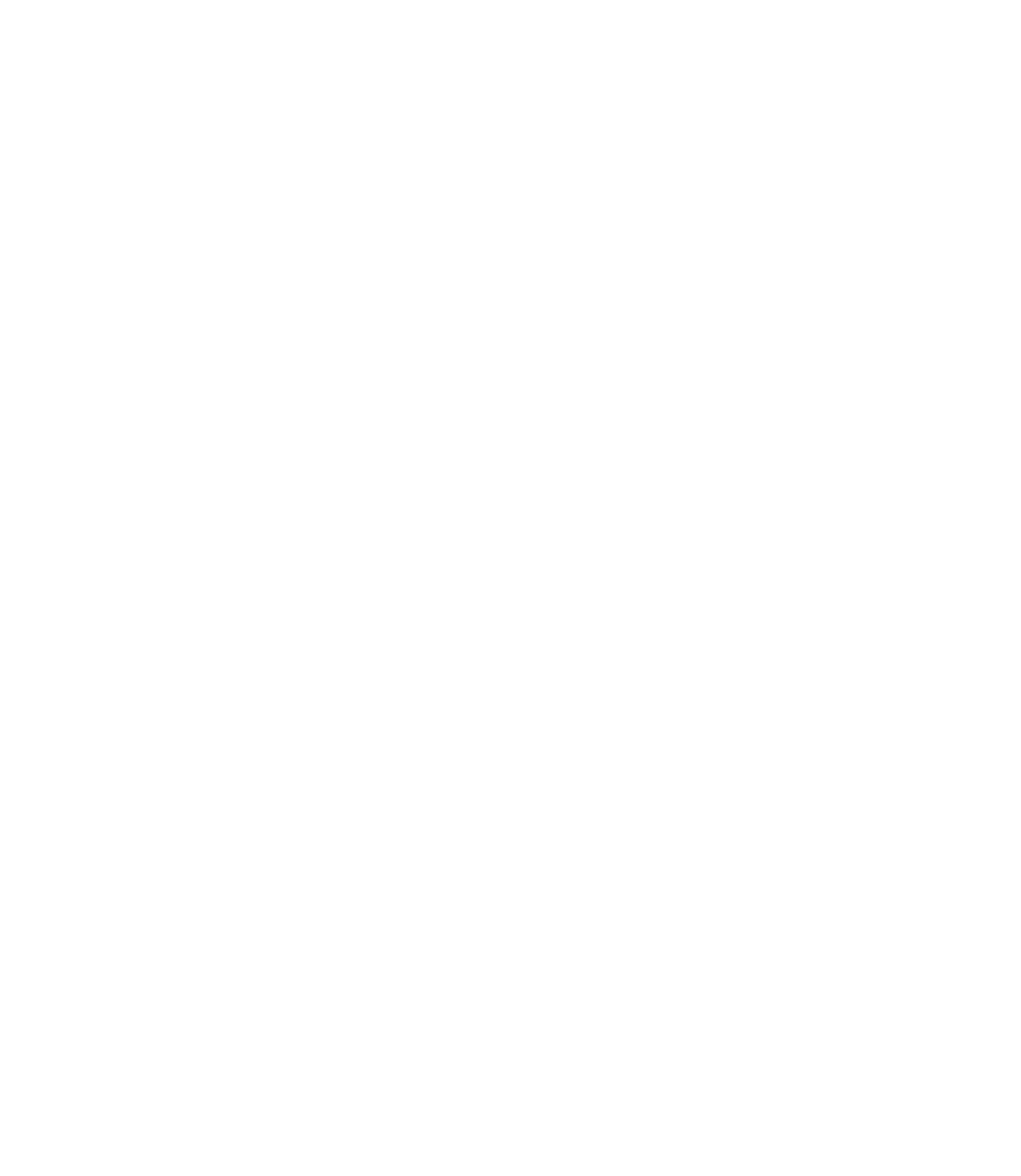 Clerk.io customer