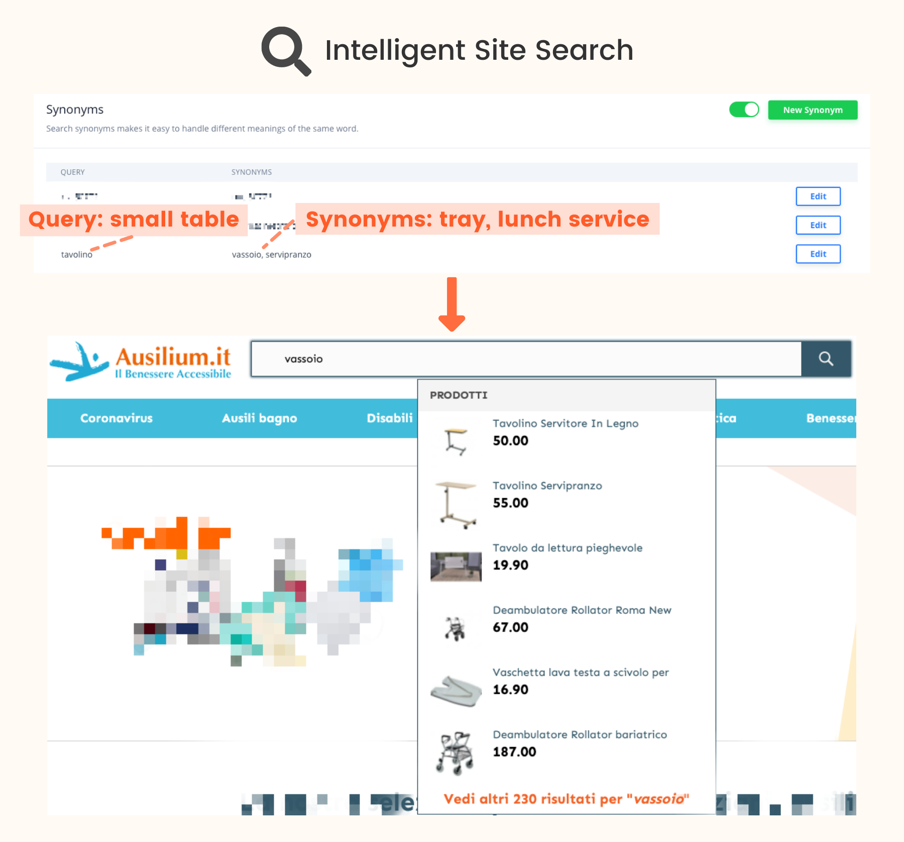 Ausilium-SiteSearch