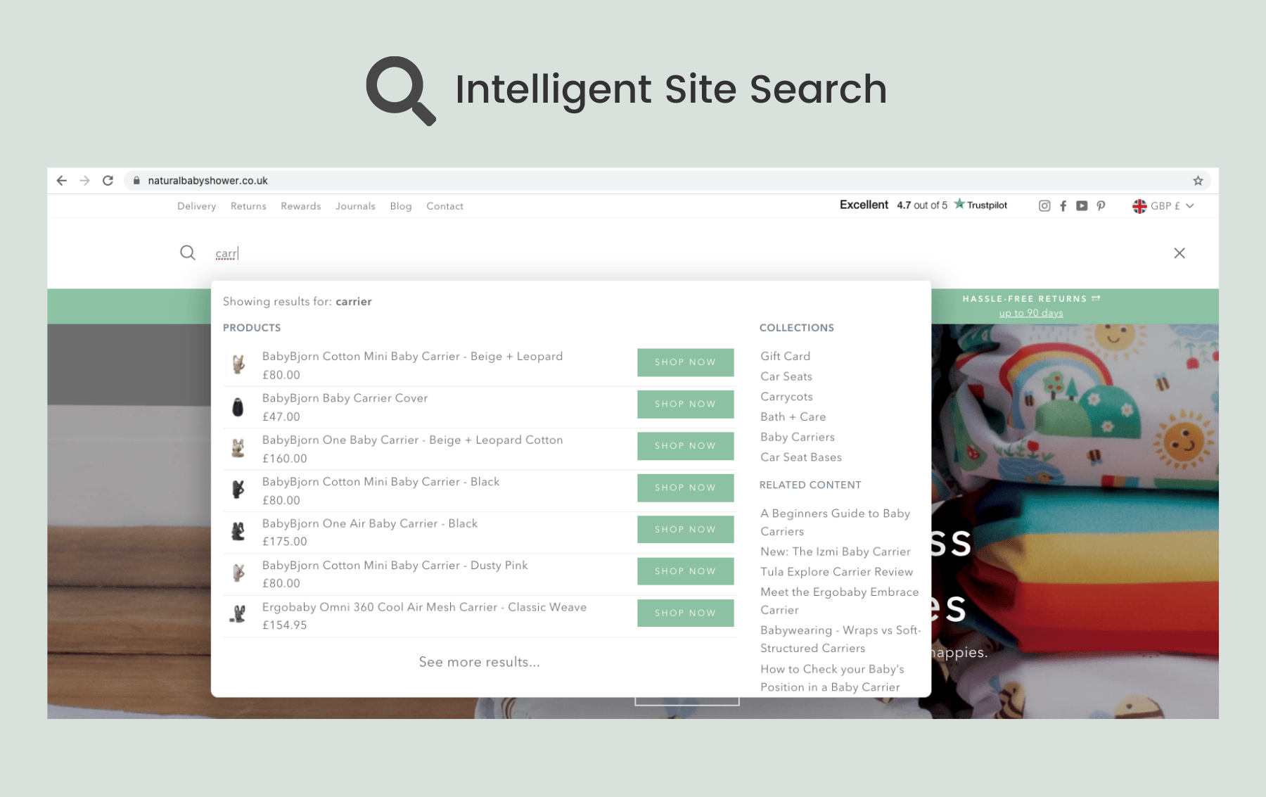 NBS-SiteSearch-1