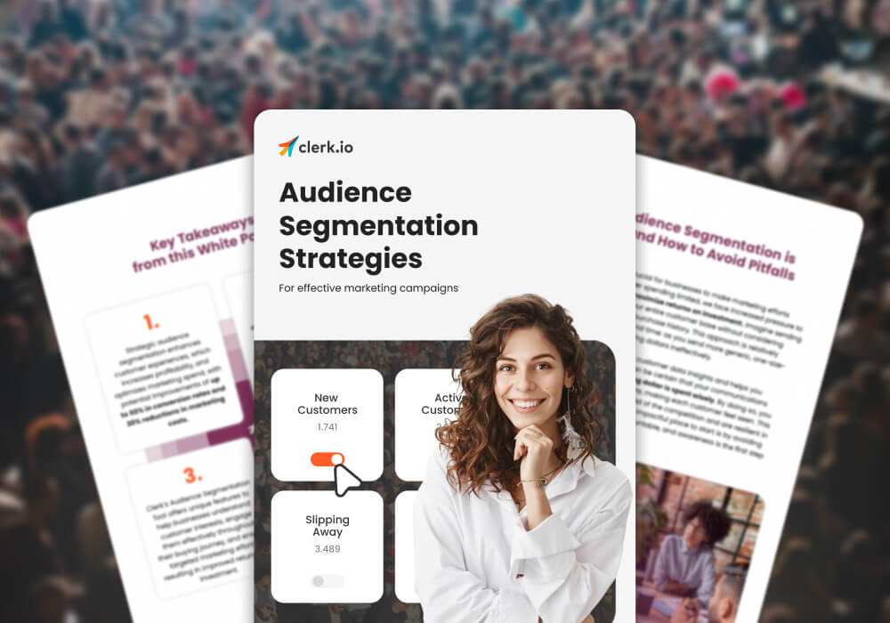 Audience Segmentation Strategies